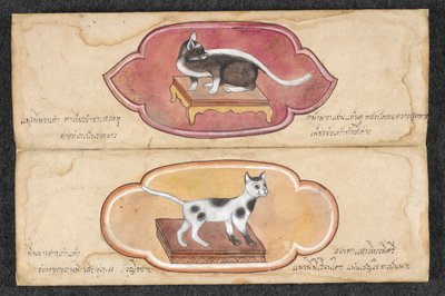 Siamkatzen von Unknown artist