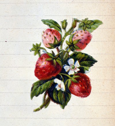Erdbeeren. Chromolithographie des 19. Jahrhunderts. von Unknown artist