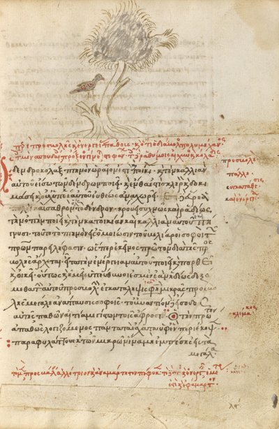 Ein Vogel sitzt in einem Baum von Unknown artist