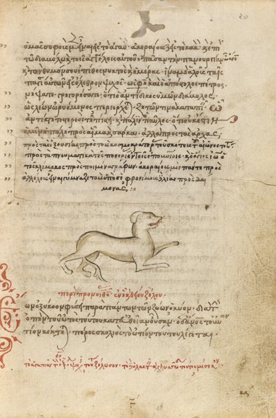 Ein Hund von Unknown artist