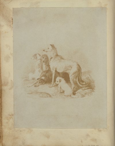[Eine Gruppe von fünf Hunden] von Unknown artist