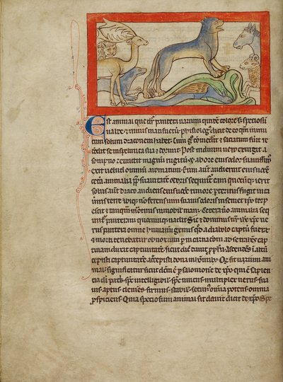 Ein Panther von Unknown artist
