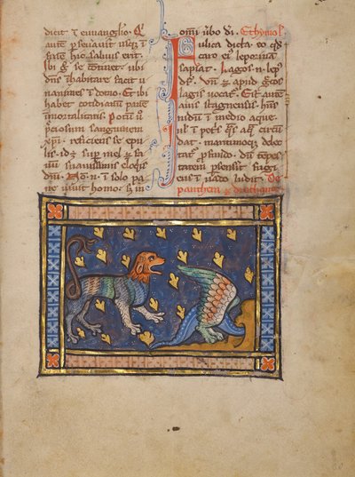 Ein Panther von Unknown artist