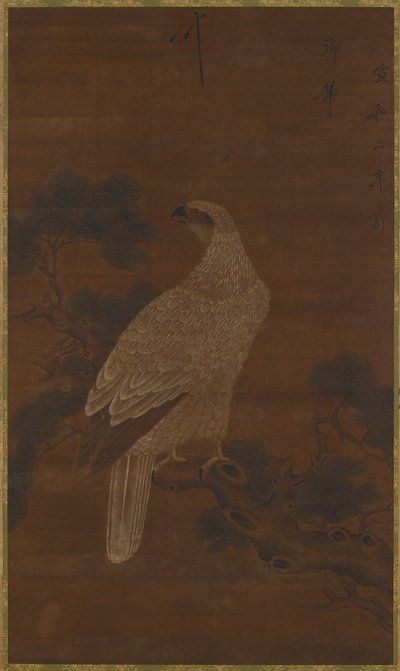 Ein Weißer Adler auf einem Kiefernzweig von Unknown artist
