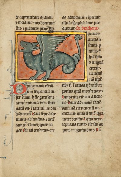 Ein geflügelter Drache von Unknown artist
