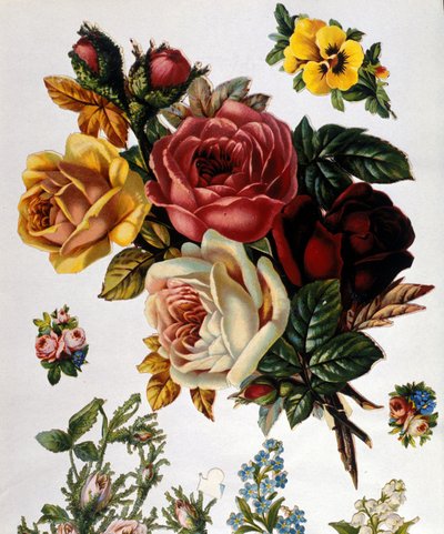 Ein Strauß Rosen. Chromolithographie aus dem 19. Jahrhundert von Unknown artist