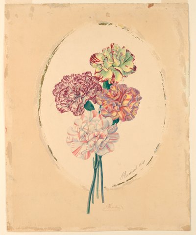 Ein Strauß von vier Nelken von Unknown artist
