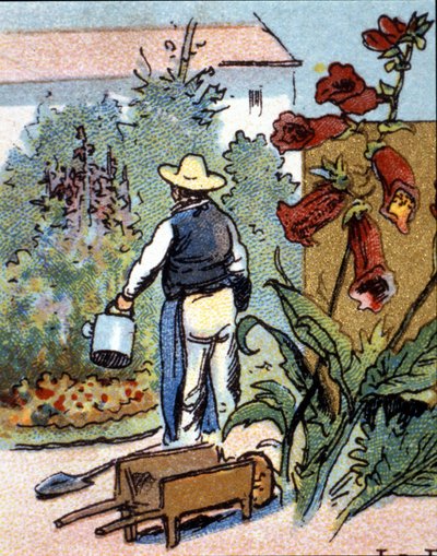 Ein Gärtner, Chromolithografie von Unknown artist