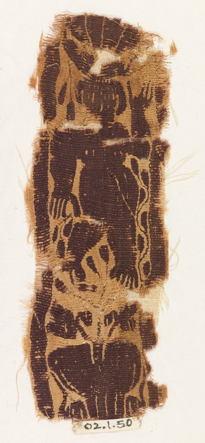 Bandfragment von Unknown artist