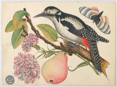 Vogel, Schmetterling und Birne von Unknown artist