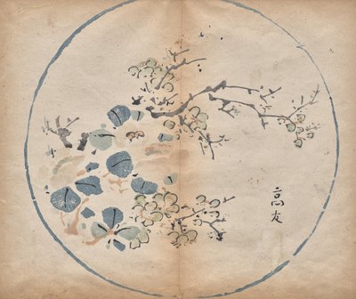 Blüten von Unknown artist