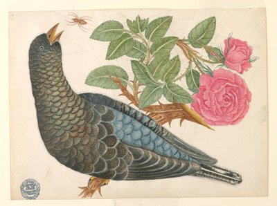 Blau-schwarzer Vogel auf Rosenast mit Spinne von Unknown artist