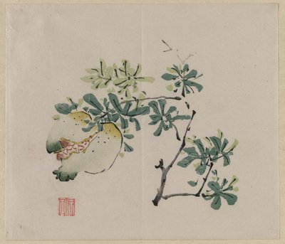 Zweig mit Granatapfel von Unknown artist