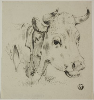 Kuhkopf von Unknown artist
