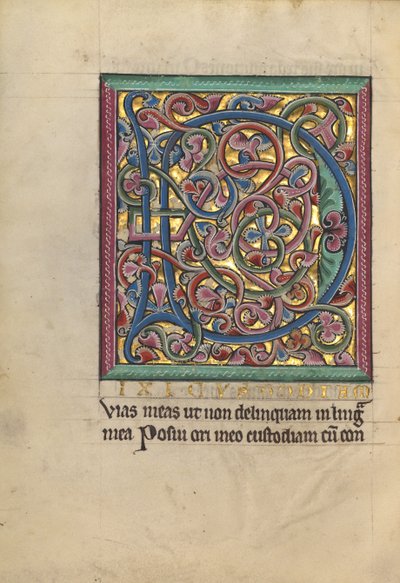 Geschmückte Initiale D von Unknown artist