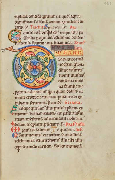 Geschmücktes Initial D von Unknown artist