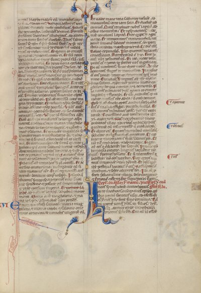 Geschmücktes Initial L von Unknown artist