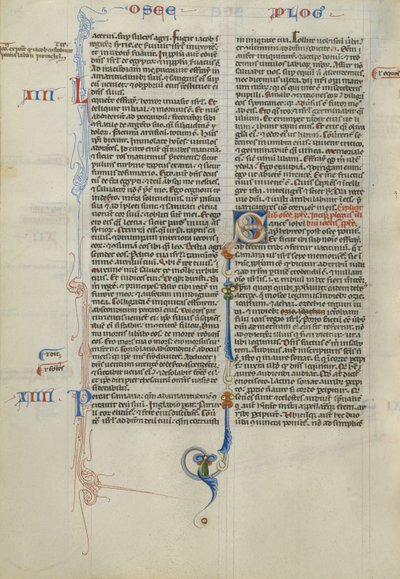 Dekorierter Initialbuchstabe S von Unknown artist