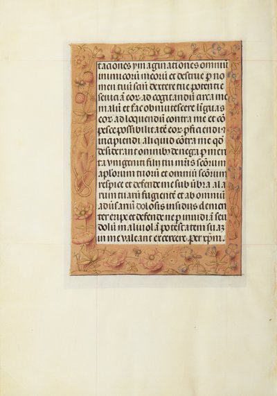 Geschmückte Textseite von Unknown artist
