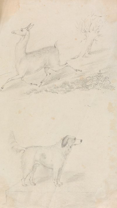 Hirsch und Hund von Unknown artist