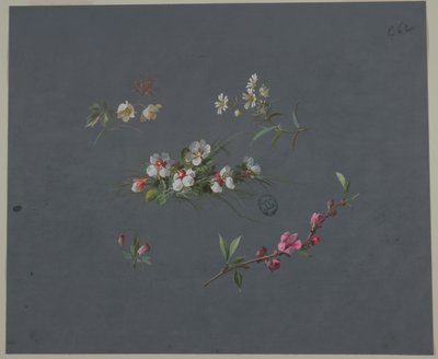 Design für Tapeten und Textilien: Blumen von Unknown artist
