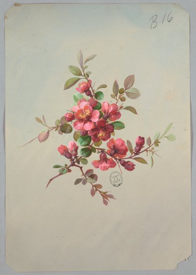 Entwurf für Tapeten und Textilien: Blumen von Unknown artist