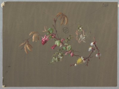 Entwürfe für Tapeten und Textilien: Blumen von Unknown artist