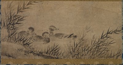Enten und Schilf von Unknown artist