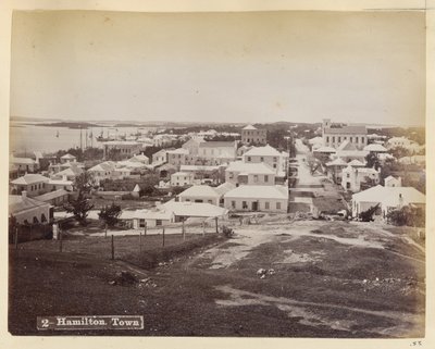 Stadt Hamilton von Unknown artist