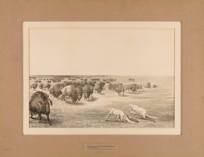 Indianer als Wölfe verkleidet--Nr. 13 von Unknown artist