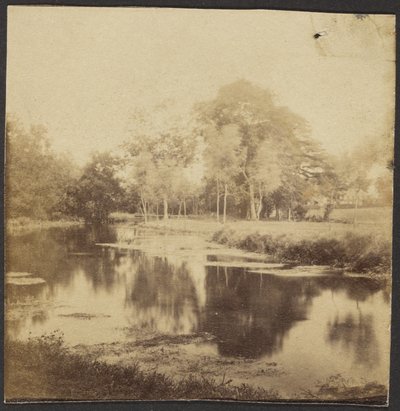 Landschaft mit Teich von Unknown artist