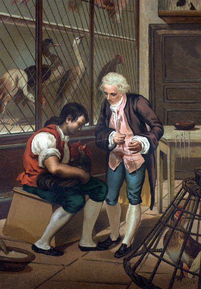 Lazzaro Spallanzani von Unknown artist