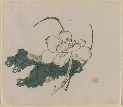 Lotusblüte von Unknown artist