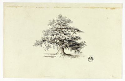 Eiche von Unknown artist