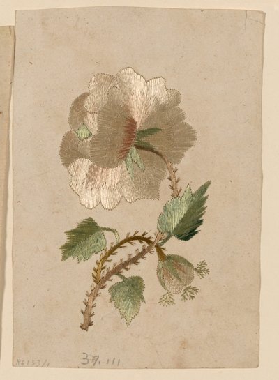 Muster von Unknown artist