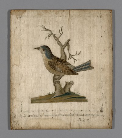 Bild eines Vogels von Unknown artist