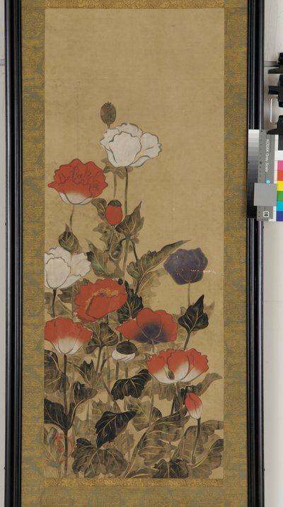 Mohnblumen von Unknown artist