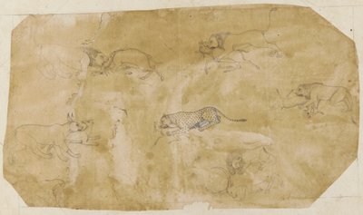 Sechs Gruppen kämpfender Tiere von Unknown artist