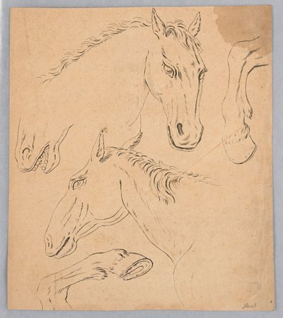 Skizzen von Pferdeköpfen und Hufen von Unknown artist