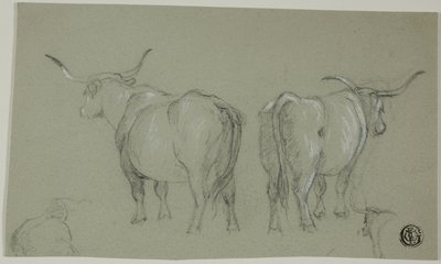Skizzen von weißen Rindern aus der Maremma von Unknown artist