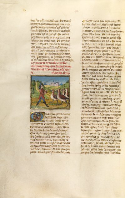 Die Gefährten des Diomedes in Gänse verwandelt von Unknown artist