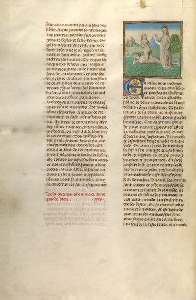 Die Erschaffung Evas von Unknown artist