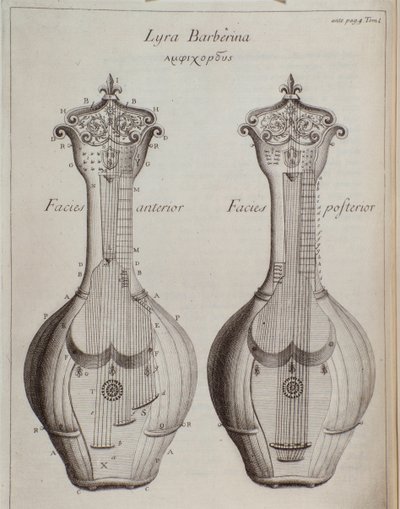 Die Lyra Barberina (Gravur) von Unknown artist