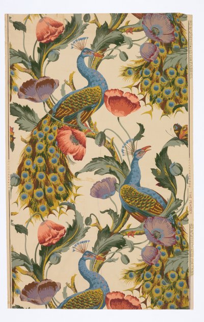 Der Pfau von Unknown artist