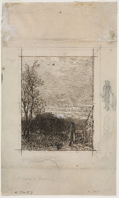 Die Feldlerche von Unknown artist