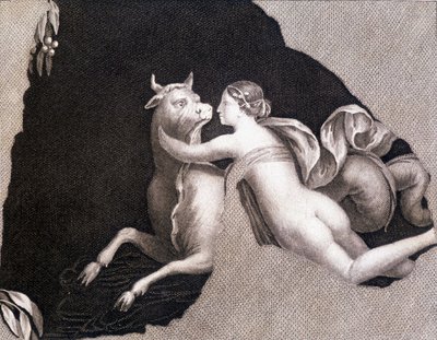 Die Entführung Europas - Gravur von Unknown artist
