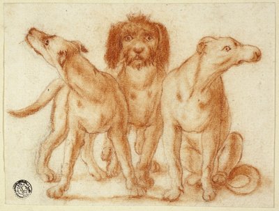 Drei Hunde von Unknown artist