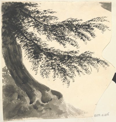 Baum von Unknown artist
