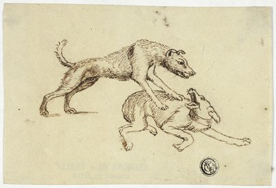 Zwei Hunde kämpfen von Unknown artist