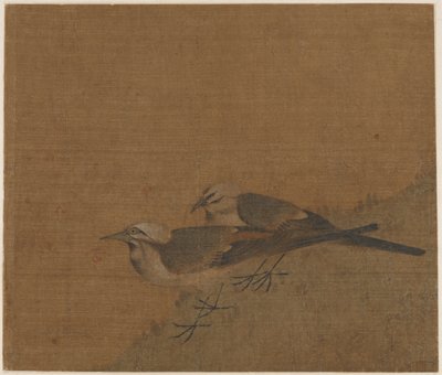 Zwei Bachstelzen von Unknown artist